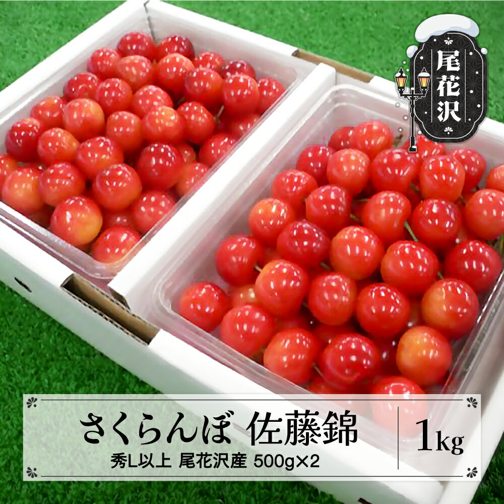 【ふるさと納税】先行予約 さくらんぼ 佐藤錦 1kg 秀Lサイズ以上 2026年産 令和8年産 山形県産 尾花沢産 送料無料 kb-snkzx1000 ※2026年6月10日頃より順次発送予定※沖縄・離島への配送不可