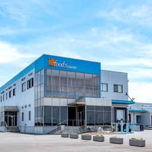 蔵王チーズハンバーグ30g　10個入×2袋【daif010】