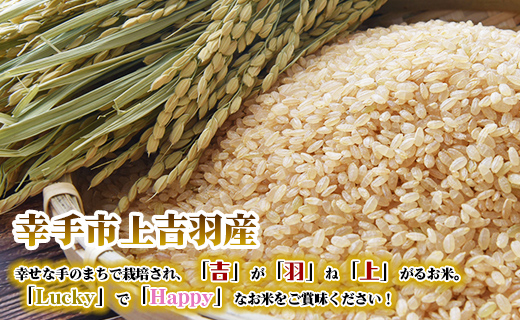 【令和7年産米】食味Aランク継続中の銘柄 彩のきずな 玄米10kg - お米 ごはん 銘柄 減農薬 おすすめ 送料無料 埼玉県 幸手市