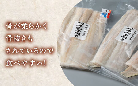【全6回定期便】対馬 穴子 開き 800g [WAD045] アナゴ あなご 天ぷら 穴子重 開き 