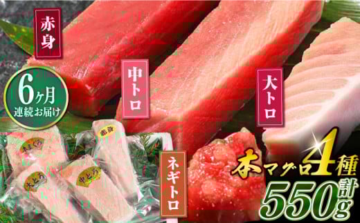 【全6回定期便】対馬産 本マグロ 4種 計550g（赤身/中トロ/大トロ/ネギトロ）《対馬市》【対海】[WAH016] マグロ まぐろ 鮪 本鮪 本マグロ 養殖 トロ 中トロ 中とろ 大トロ 大とろ 赤身 ねぎとろ ネギトロ たたき 刺身 冷凍 海鮮 魚 柵 お祝い 贈答 定期便 毎月届く