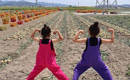 あわじ島完熟たまねぎ　10㎏　◆配送６月～12月下旬