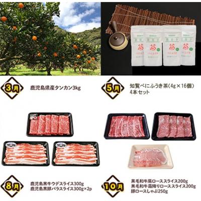 ふるさと納税 南九州市 【全4回】南九州トクトク定期便ライト |  | 01