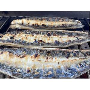 【国産うなぎ】大サイズ140g -170g　三河一色産　6尾セット　炭火蒲焼き(タレ付き)【配送不可地域：離島】【1659383】