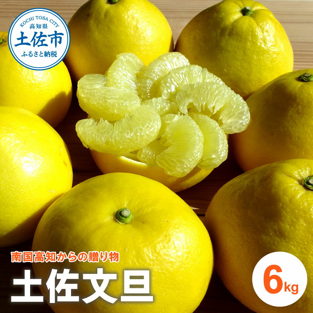 【ふるさと納税】『南国高知からの贈り物』 土佐文旦 6kg 6キロ 文旦 期間限定 数量限定 ぶんたん ブンタン 柑橘 みかん 果物 果肉 フルーツ 甘い 美味しい プリプリ 食感 旬 ギフト お取り寄せ 常温 送料無料 高知県 土佐 土佐市 ふるさとのうぜい 故郷納税 返礼品 12000円