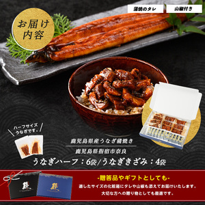 【丑の日に合わせてお届け！】鹿児島県産うなぎハーフ6袋ときざみ4袋のセット(奈良/IB020-005u) うなぎ