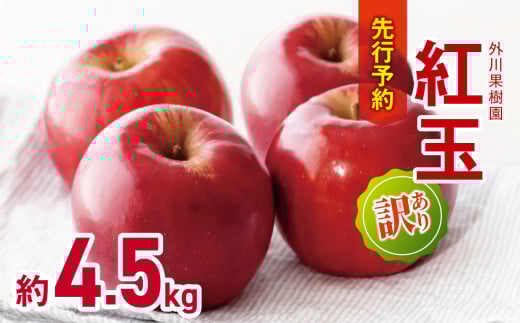 訳あり 紅玉 約4.5kg ｜ 外川果樹園 リンゴ りんご 林檎 果物 フルーツ 果実 果汁 紅玉 こうぎょく わけあり 訳アリ 訳あり 長野県 松川村 信州