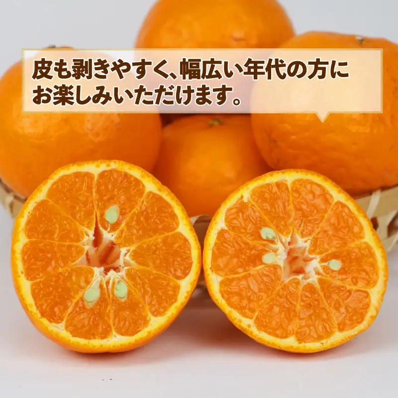みかん 訳あり ポンカン 約 9kg スーパー山田屋 先行予約 ぽんかん 甘い 果物 くだもの フルーツ 柑橘 mikan 蜜柑 愛媛蜜柑 愛媛みかん わけあり サイズ 不揃い 産地直送 数量限定 国