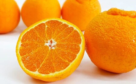 【先行予約】【 デコポン と同品種】 不知火 3kg みかん しらぬい 愛媛 愛南 吉田農園