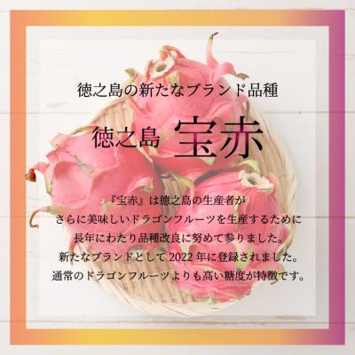 ふるさと納税 天城町 貞岡農園 プレミアム ドラゴンフルーツ 赤玉 1〜1.5kg(2玉〜3玉)天城町産 徳之島宝赤 |  | 01