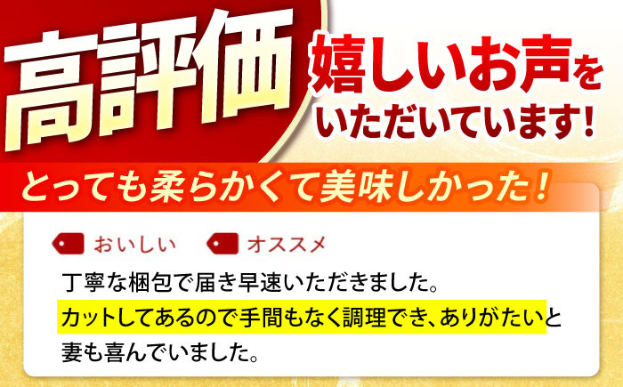 国産 三元豚 豚肉 豚ヒレ肉 ひれ ヒレ肉 切り落とし トンカツ とんかつ