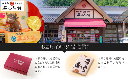【毎月定期便】平山牛舗の厳選「但馬牛」おたのしみ全6回【配送不可地域：離島】