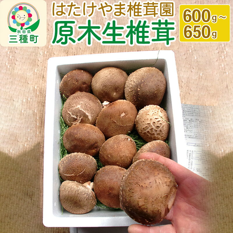 【ふるさと納税】秋田県産 原木生椎茸（600〜650g）農薬不使用 産地直送