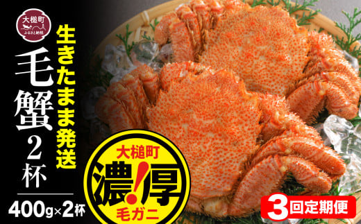【令和8年発送先行予約】【3回定期便】三陸産！活毛ガニ 400g相当×2杯【08】 【2026年2月～4月発送】