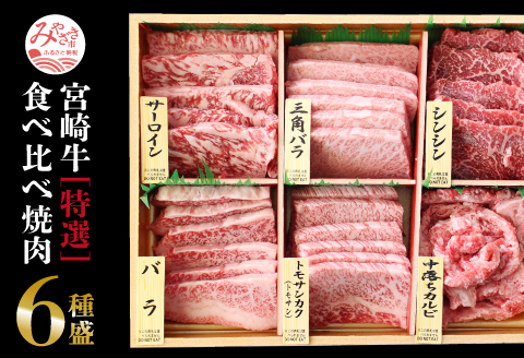 宮崎牛 特選 食べ比べ 6種盛り 合計600g |牛肉 牛 肉 ロース リブロース サーロイン 肩ロース カルビ バラ かいのみ フランク 赤身 うちもも しんたま ヒレ 赤身 希少 イチボ ランプ