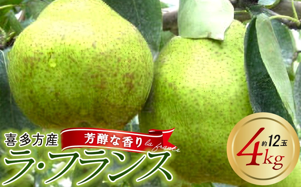 
                  [2026年11月上旬発送]西洋なし（ラ・フランス）4kg（約12玉入り）　【07208-0814】
                