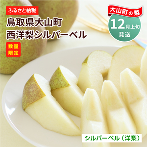 YN-01　鳥取県産洋ナシ　シルバーベル　4kg 梨 なし