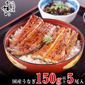 国産うなぎ蒲焼き大サイズ150g5本セット(B998-2)