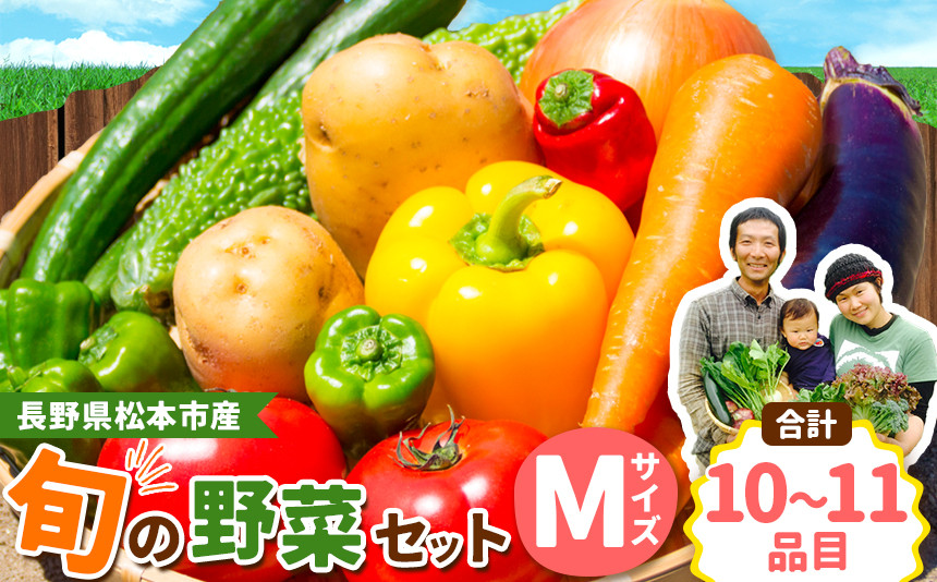 
子育て農家の野菜セット（Mサイズ）農薬・化学肥料不使用 | 無農薬 野菜 やさい 長野県 松本市 信州産 ふるさと納税
