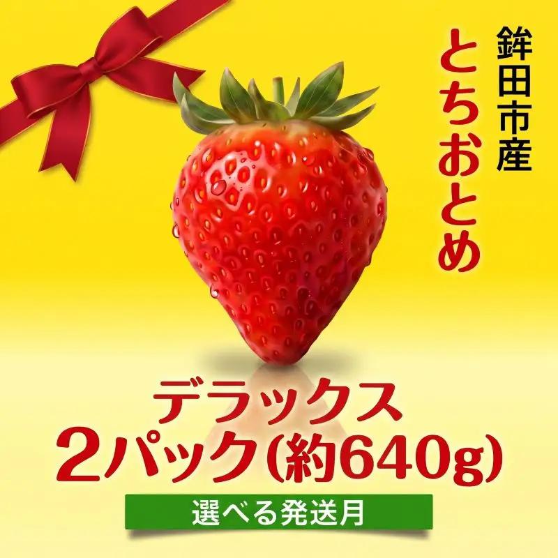 【3月発送】いちご とちおとめ （デラックス） 2パック