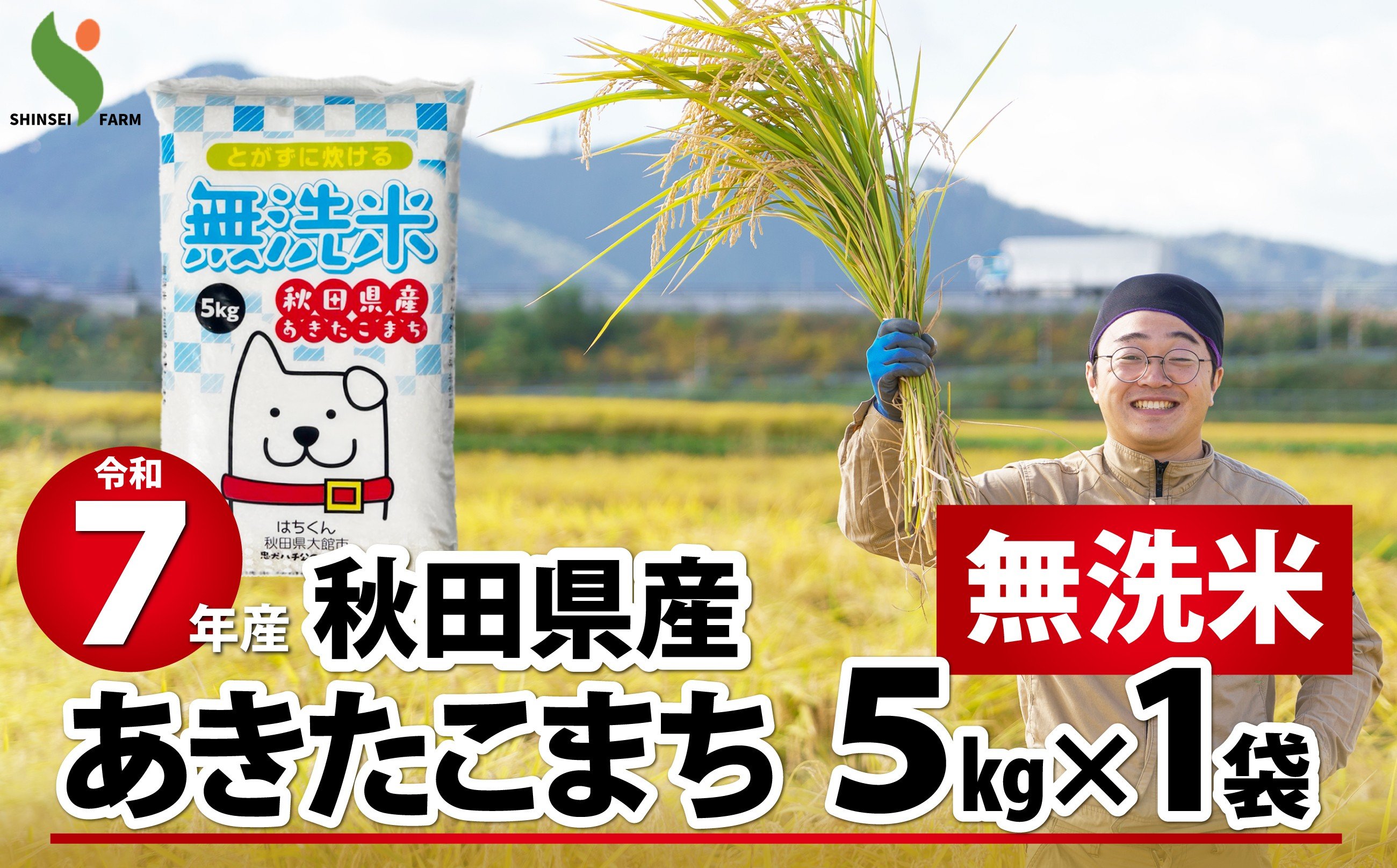 
            令和7年産秋田県産あきたこまち(無洗米)5kg 70P9204　/ 米 無洗米 5kg 白米 令和7年産 秋田県産 あきたこまち 5kg×1袋 おにぎり 大館 東北 秋田 小分け こわけ 大館市 5キロ 5ｷﾛ 5きろ
          
