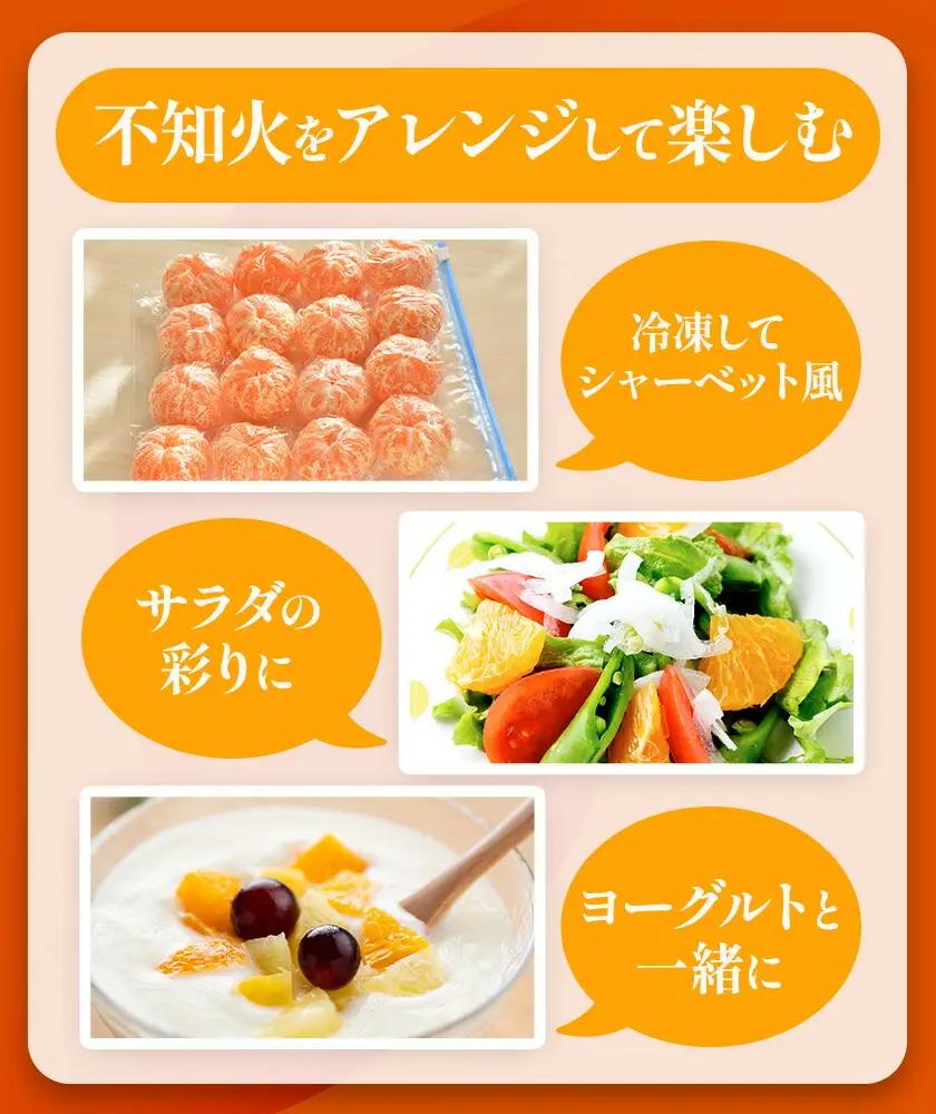 不知火 計10kg しらぬい 日本フルーツ株式会社 デコポン