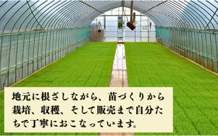 【定期便】令和7年産 コシヒカリ 精米10kg×6ヶ月（毎月） お米 白米 こしひかり｜石川県 小松市【元田農産】