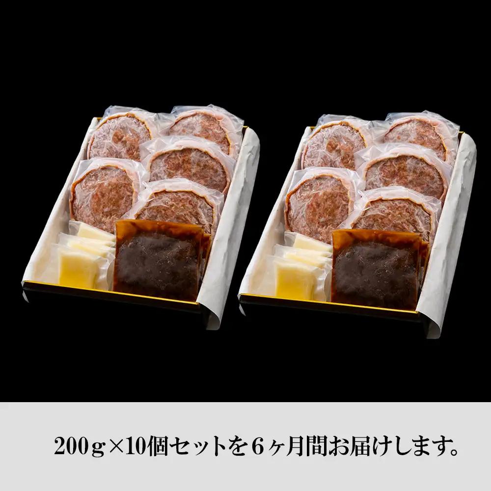 定期便6カ月 お楽しみ 白老牛 Ｗチーズ ハンバーグ セット 10個 BY092