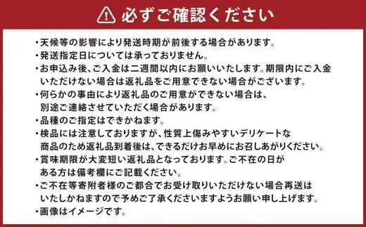 岡山白桃 （ 中世 ） 8玉 （ 1玉 220g以上 ） 白桃 くだもの 果物 国産 岡山県産 果汁 糖度 果肉 フルーツ 果皮 有袋栽培 食感 果実 もも モモ 桃 【 2026年7月上旬～8月下旬