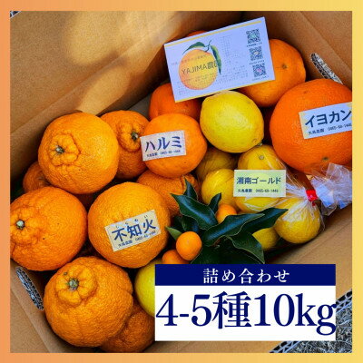 【ふるさと納税】人気の不知火入り!みかん色々4-5種10kg季節の柑橘が楽しめる詰め合わせBox【先行予約】【1531526】