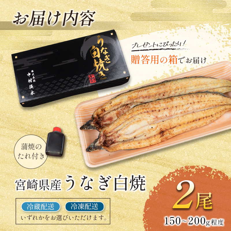 お歳暮対応「玄人の一品」うなぎ 白焼き ギフト 2尾（150～200g/1尾あたり) 宮崎県産鰻 蒲焼きタレ付（50ml×1本）配送日指定可 国産 有頭 熨斗 贈答品	【N37】_イメージ4