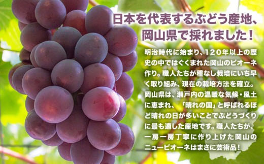 【先行予約】 岡山県産 ニューピオーネ詰合せ 選べる 計 800g 株式会社はちや《8月下旬‐9月下旬頃出荷》岡山県 浅口市 ぶどう 葡萄 フルーツ ギフト 果物 デザート 国産 送料無料【配送不可地