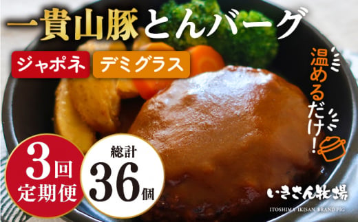【全3回定期便】一貴山豚 とんバーグ 12個（ 6個 × 2種 ） 糸島市 / いきさん牧場 [AGB013] ハンバーグ デミグラス 冷凍 詰め合わせ 湯せん