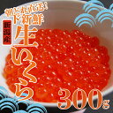 【ふるさと納税】 生いくら 300g 鮭 生いくら 海鮮 鮮魚 朝どれ 朝採れ とれたて 国産 新潟県産 お正月 おせち 年末 年始 贈答 uomizushima001