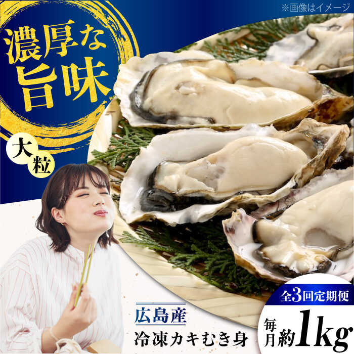 【ふるさと納税】【全3回定期便】こだわり大粒 牡蠣 むき身【瞬間冷凍】約1kg 魚介類 海鮮 牡蠣 むき身 冷凍 かき カキフライ カキ ギフト 広島県産 人気 送料無料 広島県産 江田島市/有限会社マルイチ水産[XCU014]