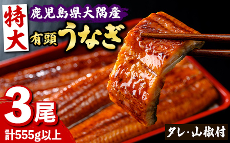 【B57006】特大うなぎ蒲焼(有頭)(3尾・計555g以上、タレ、山椒付) 鹿児島 国産 九州産 大隅産 鰻 うなぎ ウナギ 蒲焼き うな重 うな丼 ひつまぶし 丑の日 土用の丑の日 化粧箱 贈答 【一般社団法人きもつき宇宙協議会】