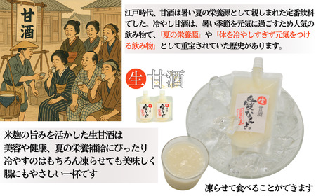 生甘酒 ( 170g × 10 本 ) 10000円 甘酒 あまざけ あま酒 米 パウチ 非加熱 冷凍 酵素 自然 腸内環境 170g 持ち運び 片手 手軽 夏バテ 冷え 冷え性 栄養 栄養補給 発酵