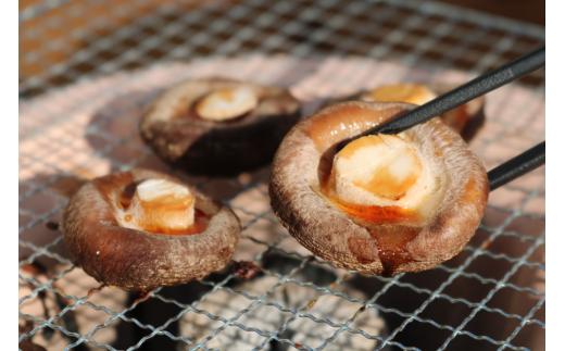 高山村産のナラ炭を使って七輪で焼いている様子。お醤油だけで椎茸のうま味をしっかり感じられます。