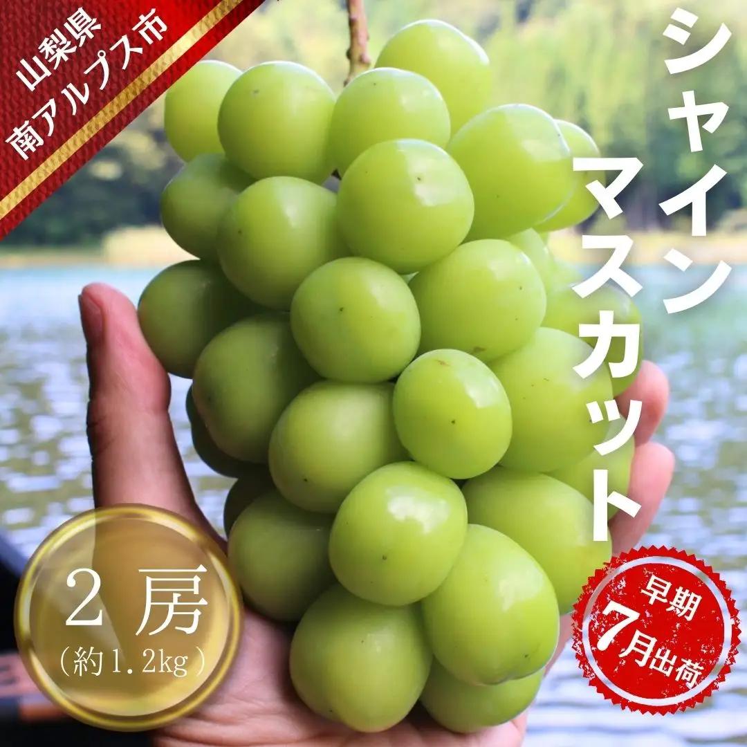 【令和8年発送・先行予約】ハウス栽培　南アルプス市産シャインマスカット(2房・約1.2kg)真心で育てる大地の宝石！【早期出荷】 ALPDX006