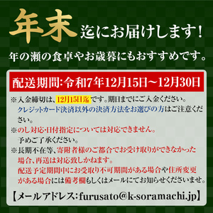 【A10004】＜先行予約受付中！2025年12月15日～30日の間に発送予定＞お歳暮・年末用詰合せセットA(5種) 鹿児島 さつまあげ さつま揚げ 薩摩揚げ つきあげ 蒲鉾 練り物 おつまみ お惣菜