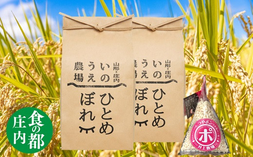 
                  食の都庄内　井上農場の特別栽培米ひとめぼれ5kg×2袋+つやポン
                