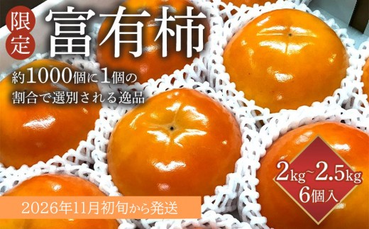 
            【限定】 富有柿 2kg～2.5kg 6個入 至高の逸品 約1000個に１個！【先行予約】【2025年10月末頃から発送】【KG5】
          