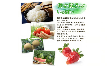 【 定期便 3ヶ月 】 JA北つくば ローズポーク ロース切身 600g ( 100g × 6枚入り ) [AE077ci]