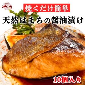 岬だより 天然はまちの醤油漬け 10袋セット 個包装  [配送不可地域：離島]
