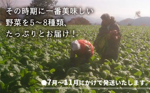 【数量限定】【2026年予約受付】（7月～発送開始） 自然栽培 朝採れ 野菜セット 5～8種 | 先行予約 新鮮 野菜 採れたて トマト ナス キュウリ ゴーヤ オクラ ネギ ししとう 冬瓜半割 ジャ