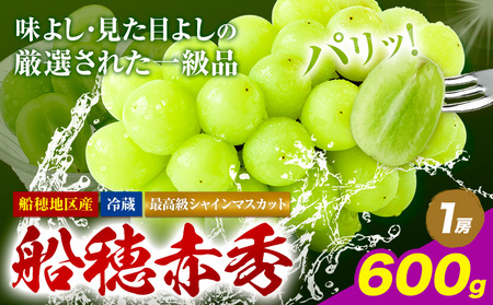 【2026年発送】最高級 シャインマスカット  船穂赤秀  600g ハレノフルーツ マスカット　【配送不可地域あり】 