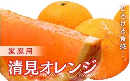 ＜2月より発送＞家庭用 清見10kg+250g（傷み補償分）【わけあり・訳あり】【ikd242】