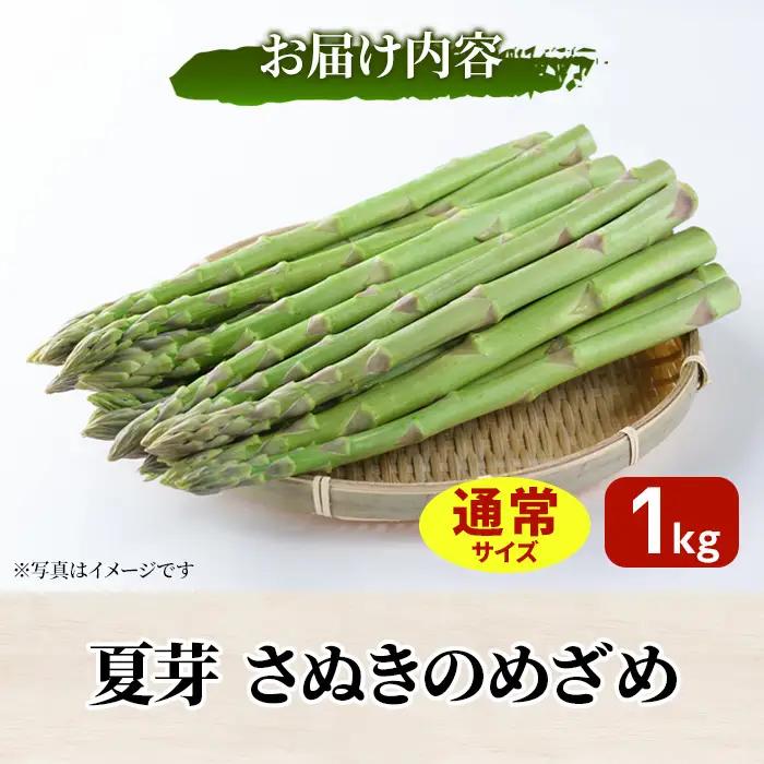 ＜期間限定！2026年6月上旬以降順次発送＞夏芽！さぬきのめざめ アスパラガス(約1kg) 香川県 国産 野菜 アスパラ 新鮮 冷蔵便 【man084-A】【Aglio nero】