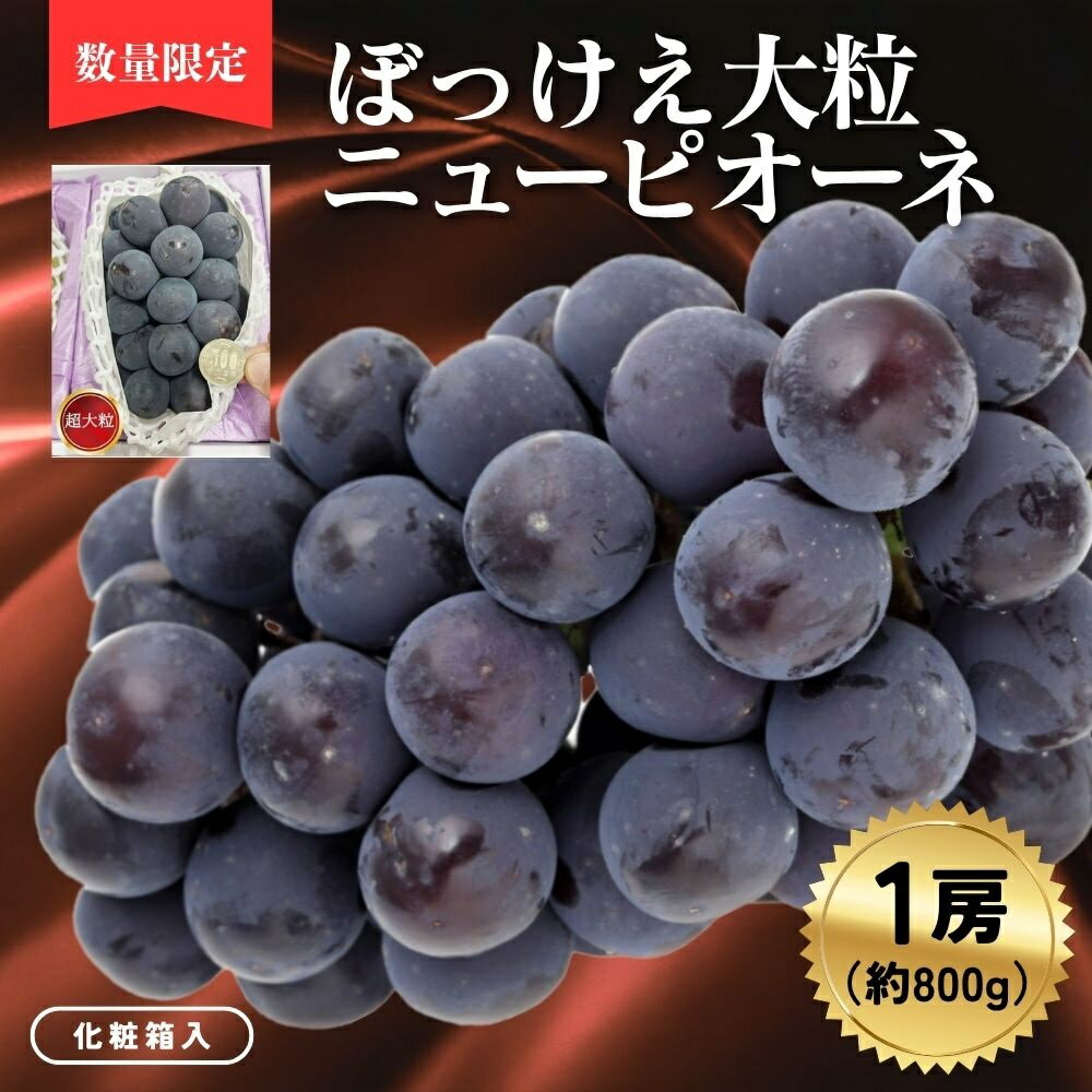 【ふるさと納税】ぼっけえ大粒ニューピオーネ1房（約800g以上）化粧箱入