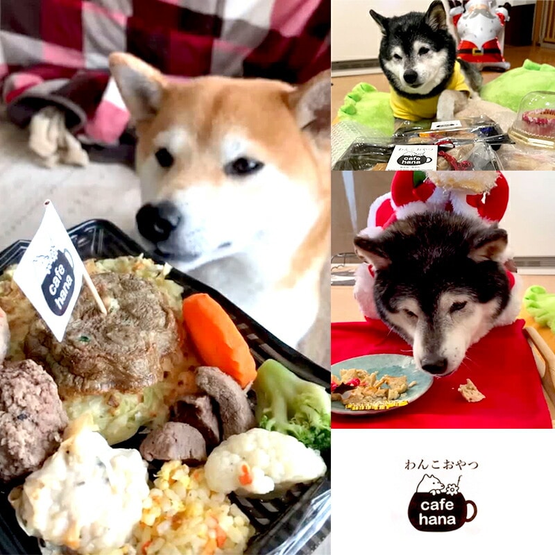 cafe hana わんこのお弁当セット Lサイズ スープ おやつ２袋 ： 大型犬 セット 愛犬への贈り物 ご飯 ドッグフード ペットフード 手作り 愛犬 dog 犬用